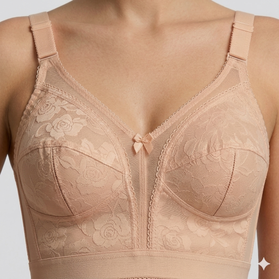 Picture of Raj Fashion Corset Bra (192)
