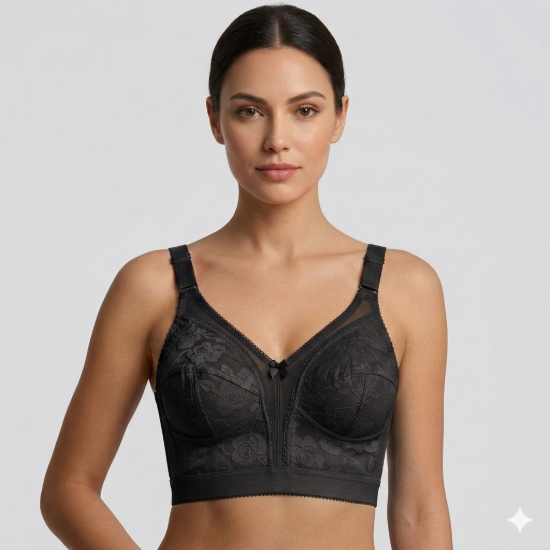 Picture of Raj Fashion Corset Bra (192)