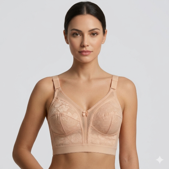 Picture of Raj Fashion Corset Bra (192)