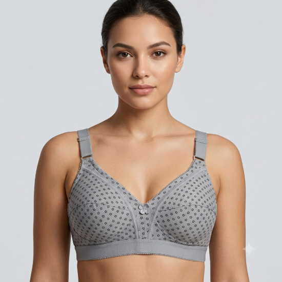 صورة Raj Bra Regular Soft Padded Non-Wired (234)