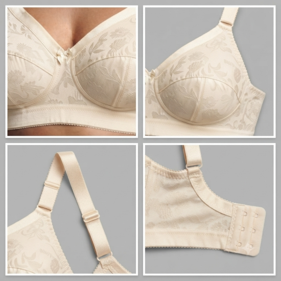 صورة Raj Bra Regular Soft Padded Non-Wired (610)