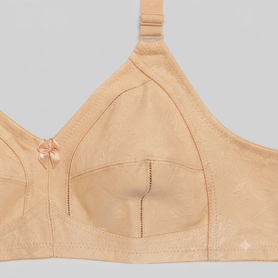 Picture of Raj Bra C- CUP Regular Non-Padded Non-Wired (219) Jumbo