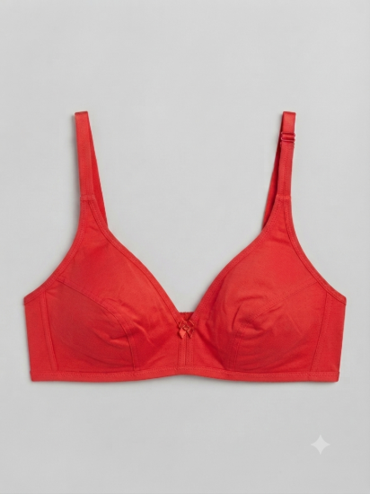 Picture of Indian Bra Regular Non-Padded Non-Wired (RF-506)