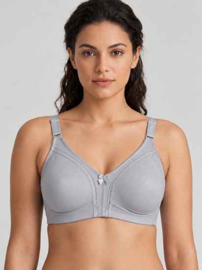 Picture of Raj Bra Regular Non-Padded Non-Wired (212)