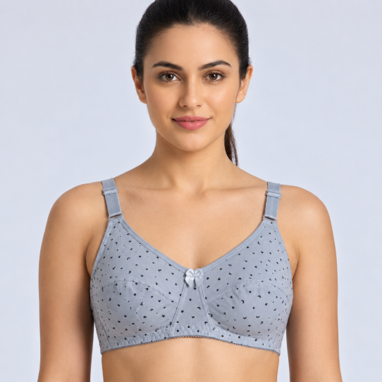 Picture of Raj Bra Regular Non-Padded Non-Wired (604)