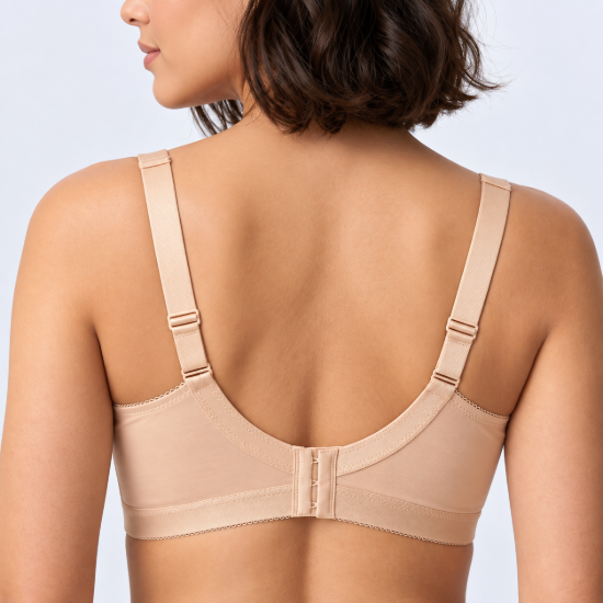 Picture of Raj Bra Regular Non-Padded Non-Wired (222)