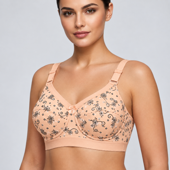 Picture of Raj Bra Regular Padded Non-Wired (232)