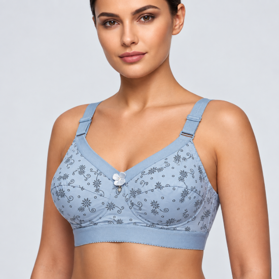 Picture of Raj Bra Regular Padded Non-Wired (232)