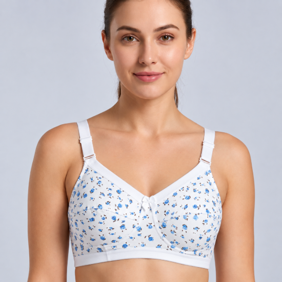 Picture of Raj Bra Regular Soft Padded Non-Wired (239)