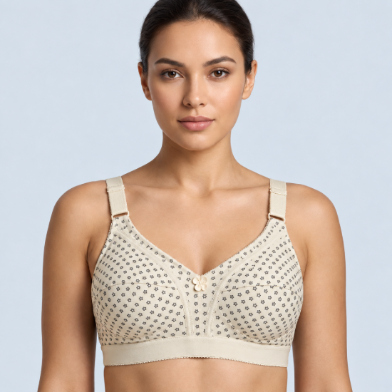 Picture of Raj Bra Regular Soft Padded Non-Wired (234)