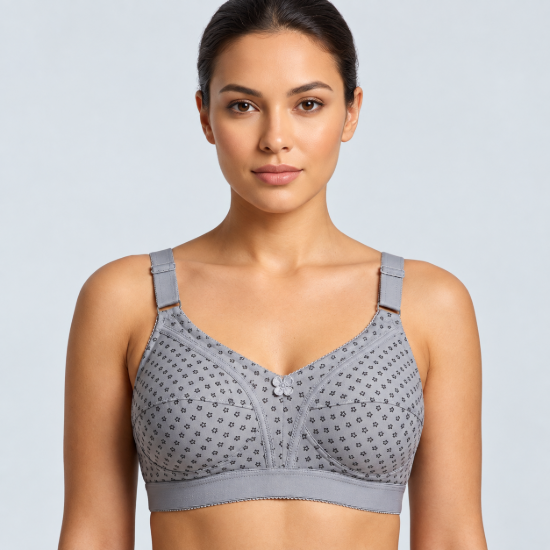 Picture of Raj Bra Regular Soft Padded Non-Wired (234)