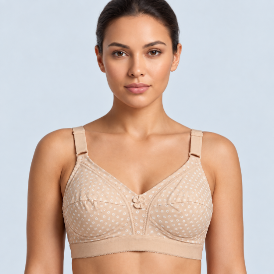 Picture of Raj Bra Regular Soft Padded Non-Wired (234)