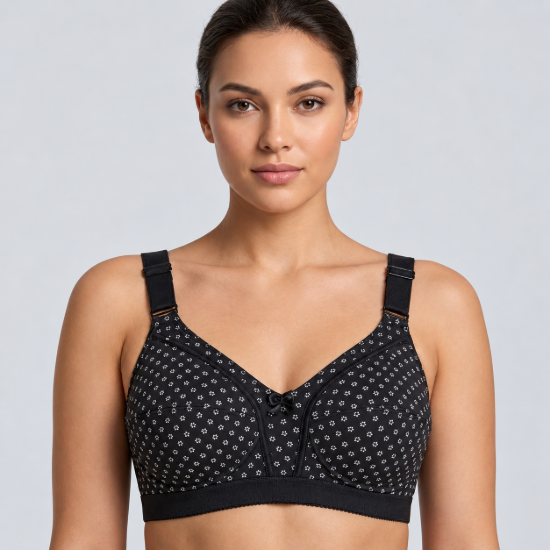 Picture of Raj Bra Regular Soft Padded Non-Wired (234)