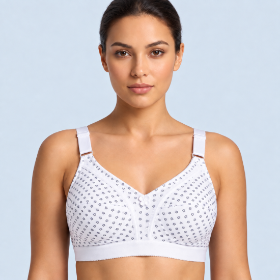 Picture of Raj Bra Regular Soft Padded Non-Wired (234)