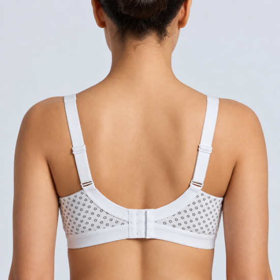 Picture of Raj Bra Regular Soft Padded Non-Wired (234)