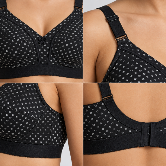 Picture of Raj Bra Regular Soft Padded Non-Wired (234)