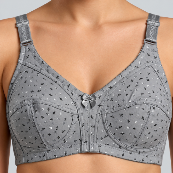 Picture of Raj Bra Regular Non-Padded Non-Wired (406)