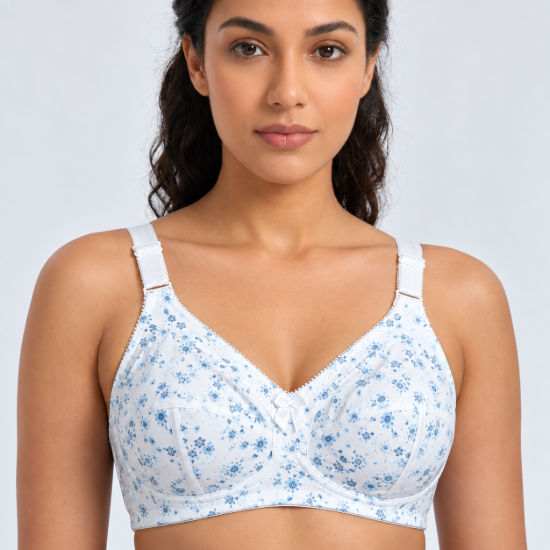 Picture of Raj Bra Regular Non-Padded Non-Wired (237)