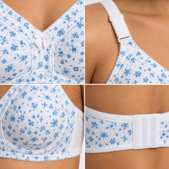 Picture of Raj Bra Regular Non-Padded Non-Wired (237)