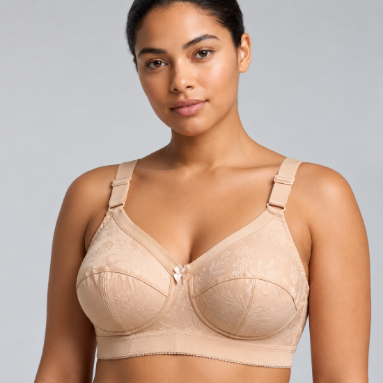 Picture of Raj Bra Regular Soft Padded Non-Wired (610)