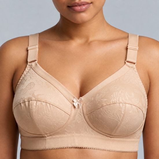 Picture of Raj Bra Regular Soft Padded Non-Wired (610)