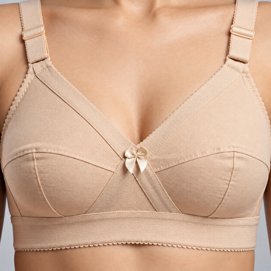Picture of Raj Bra Regular Non-Padded Non-Wired (141)