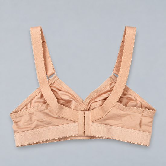Picture of Raj Bra Regular Non-Padded Non-Wired (141)