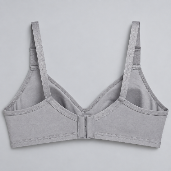 Picture of Raj Bra Regular Non-Padded Non-Wired (402)