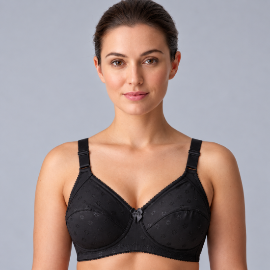 Picture of Raj Bra Regular Non-Padded Non-Wired (163)