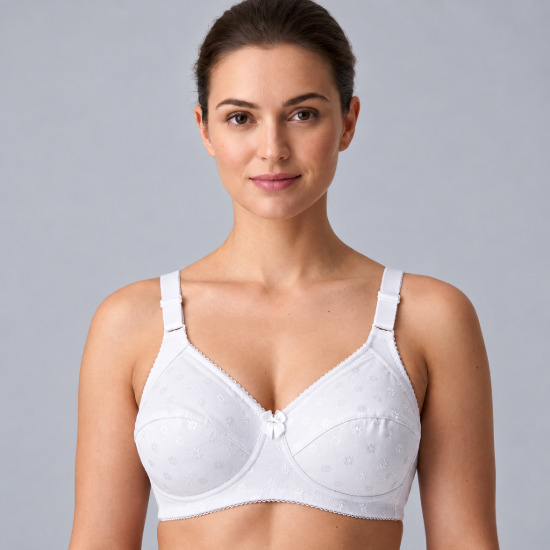 Picture of Raj Bra Regular Non-Padded Non-Wired (163)