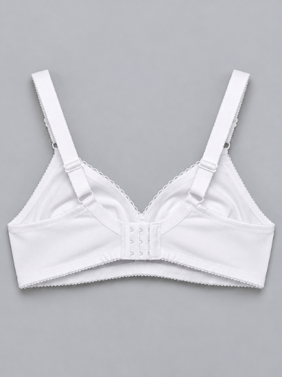 Picture of Raj Bra Regular Non-Padded Non-Wired (163)