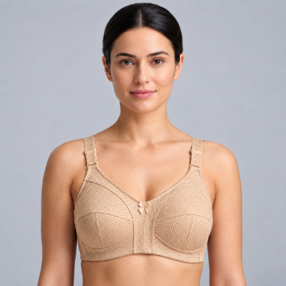 Picture of Raj Bra Regular Non-Padded Non-Wired (206)