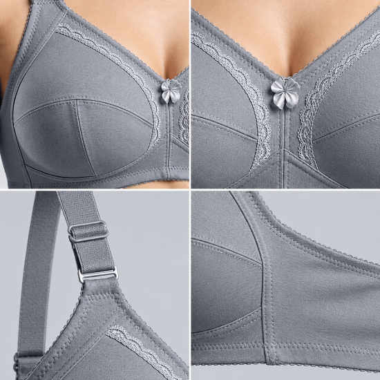 Picture of Raj Bra Regular Non-Padded Non-Wired (228)