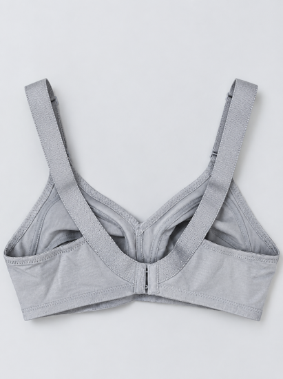 Picture of Raj Bra Regular Non-Padded Non-Wired (228)