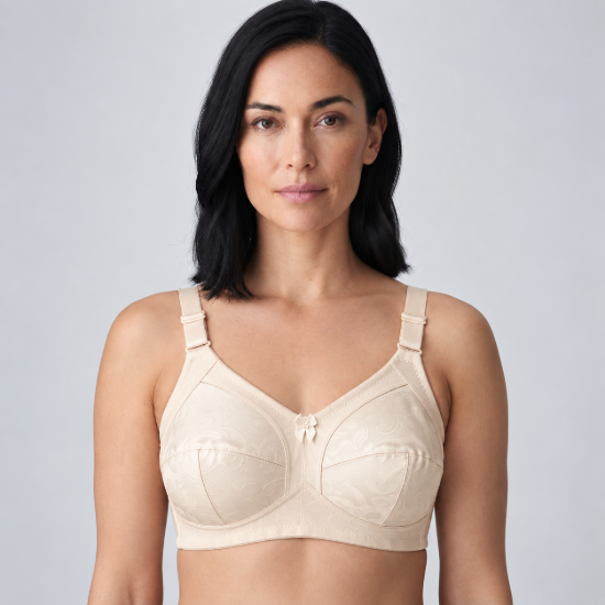 Picture of Raj Bra C- CUP Regular Non-Padded Non-Wired ( 219 )