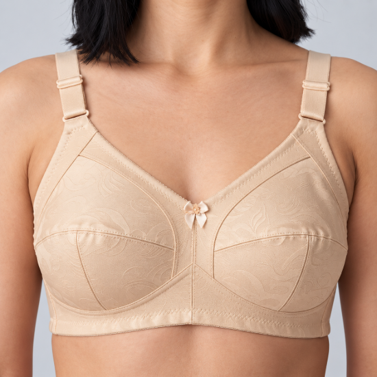 Picture of Raj Bra C- CUP Regular Non-Padded Non-Wired ( 219 )