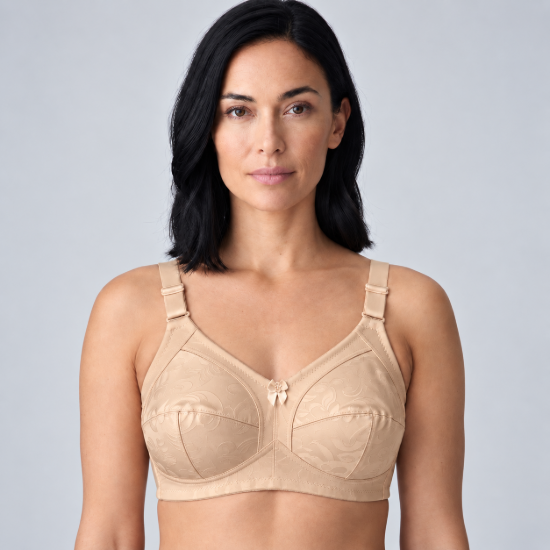 Picture of Raj Bra C- CUP Regular Non-Padded Non-Wired ( 219 )